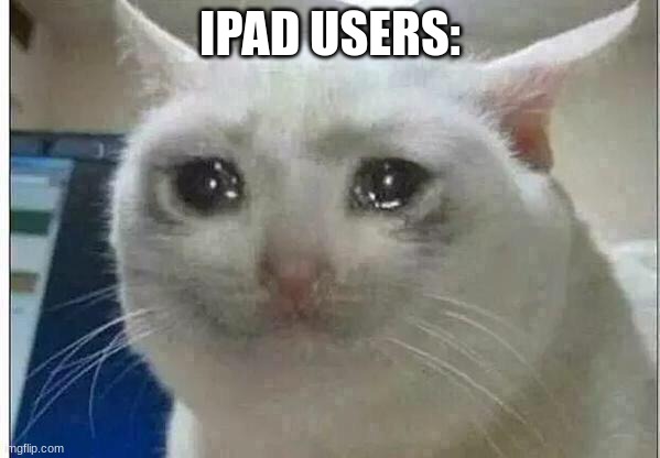 crying cat | IPAD USERS: | image tagged in crying cat | made w/ Imgflip meme maker