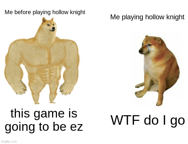 hollow knight gameplay | Me before playing hollow knight; Me playing hollow knight; this game is going to be ez; WTF do I go | image tagged in memes,buff doge vs cheems | made w/ Imgflip meme maker