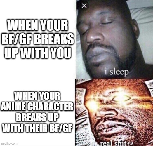 i sleep real shit | WHEN YOUR BF/GF BREAKS UP WITH YOU; WHEN YOUR ANIME CHARACTER BREAKS UP WITH THEIR BF/GF | image tagged in i sleep real shit | made w/ Imgflip meme maker