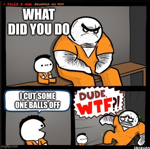 Srgrafo dude wtf | WHAT DID YOU DO; I CUT SOME ONE BALLS OFF | image tagged in srgrafo dude wtf | made w/ Imgflip meme maker