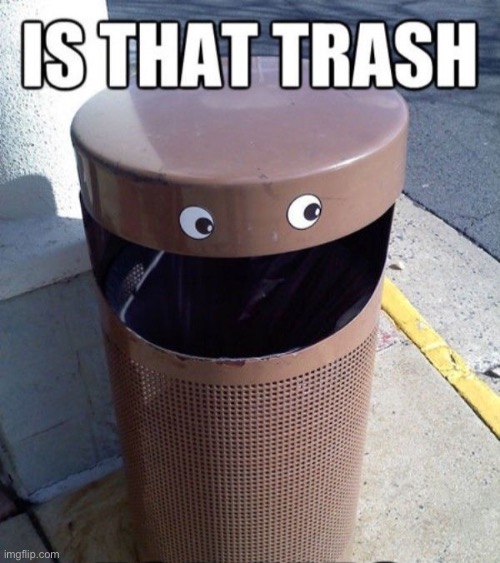 Is that trash | image tagged in is that trash | made w/ Imgflip meme maker