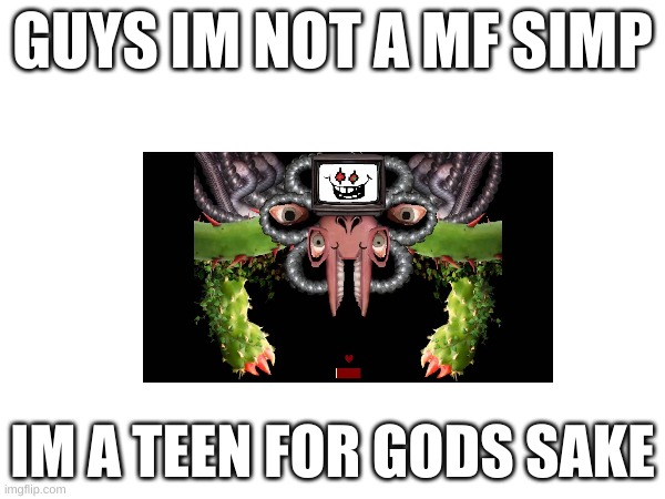 GUYS IM NOT A MF SIMP; IM A TEEN FOR GODS SAKE | image tagged in stop it get some help | made w/ Imgflip meme maker