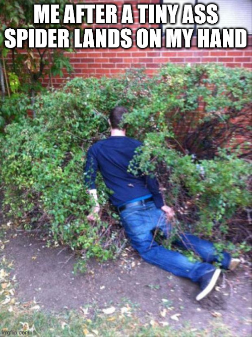 it's true | ME AFTER A TINY ASS SPIDER LANDS ON MY HAND | image tagged in drunk and passed out | made w/ Imgflip meme maker