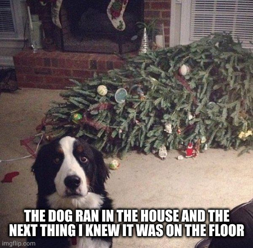 Dog Christmas Tree | THE DOG RAN IN THE HOUSE AND THE NEXT THING I KNEW IT WAS ON THE FLOOR | image tagged in dog christmas tree | made w/ Imgflip meme maker