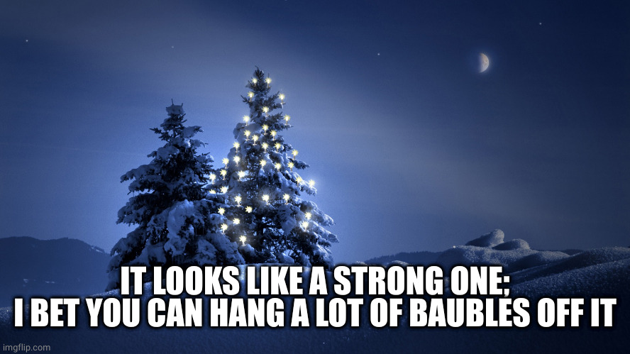 Christmas Tree | IT LOOKS LIKE A STRONG ONE;
I BET YOU CAN HANG A LOT OF BAUBLES OFF IT | image tagged in christmas tree | made w/ Imgflip meme maker