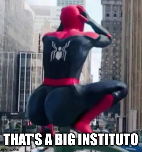 Fat ass Spidey | THAT'S A BIG INSTITUTO | image tagged in fat ass spidey | made w/ Imgflip meme maker