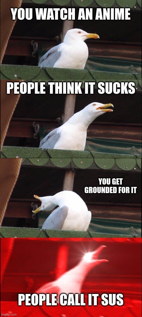 Inhaling Seagull | YOU WATCH AN ANIME; PEOPLE THINK IT SUCKS; YOU GET GROUNDED FOR IT; PEOPLE CALL IT SUS | image tagged in memes,inhaling seagull | made w/ Imgflip meme maker