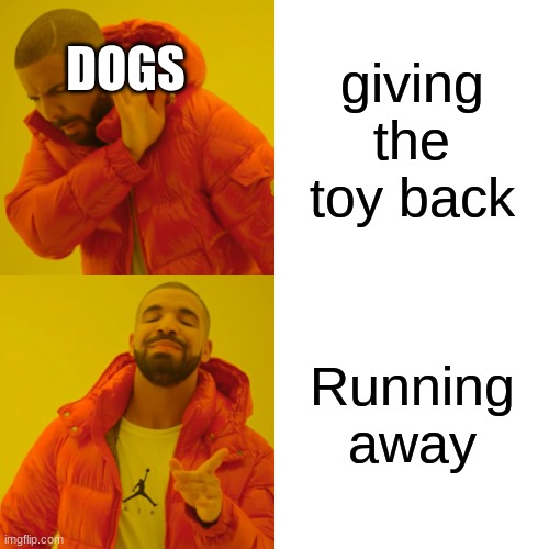 Drake Hotline Bling Meme | DOGS; giving the toy back; Running away | image tagged in memes,drake hotline bling | made w/ Imgflip meme maker