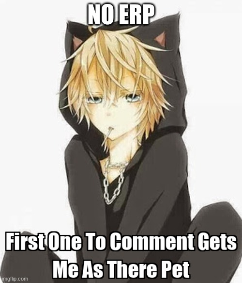 I will not accept erp but I will rp | NO ERP | made w/ Imgflip meme maker