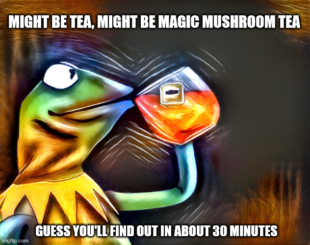 Kermit drinking some sort of tea | MIGHT BE TEA, MIGHT BE MAGIC MUSHROOM TEA; GUESS YOU'LL FIND OUT IN ABOUT 30 MINUTES | image tagged in kermit the frog,tea,magic mushrooms | made w/ Imgflip meme maker