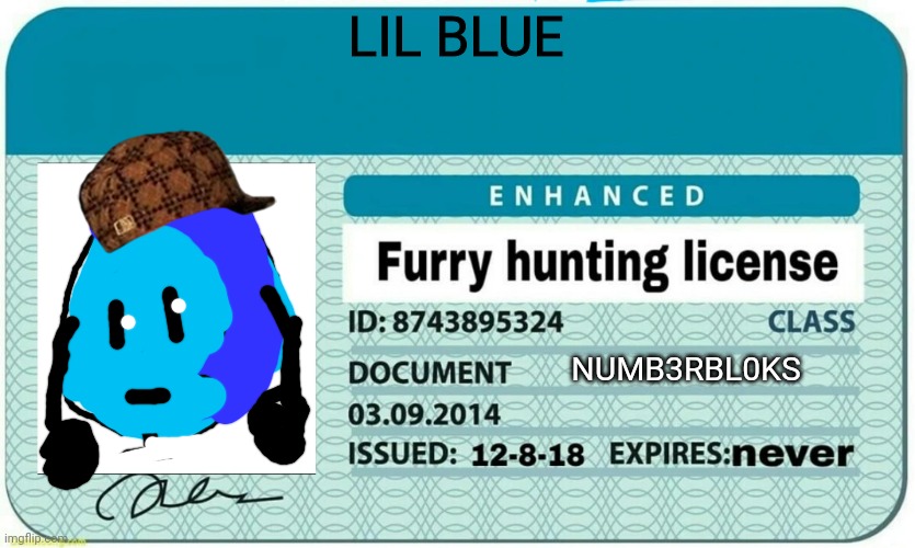 furry hunting license | LIL BLUE; NUMB3RBL0KS | image tagged in furry hunting license | made w/ Imgflip meme maker