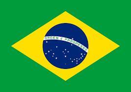 High Quality Brazil Flag Blank Meme Template
