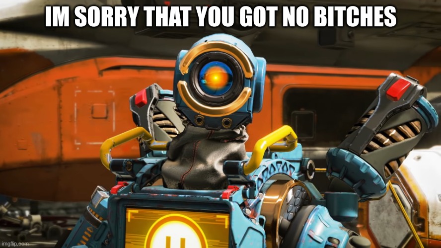 No hoes? | IM SORRY THAT YOU GOT NO BITCHES | image tagged in pathfinder | made w/ Imgflip meme maker