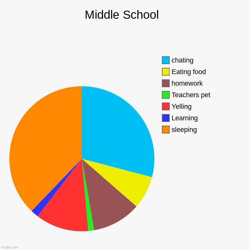Middle School  | sleeping, Learning, Yelling, Teachers pet, homework, Eating food, chating | image tagged in charts,pie charts,middle school,school,funny memes | made w/ Imgflip chart maker
