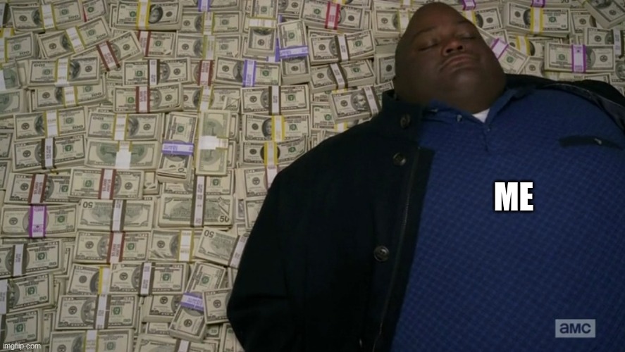 guy sleeping on pile of money | ME | image tagged in guy sleeping on pile of money | made w/ Imgflip meme maker