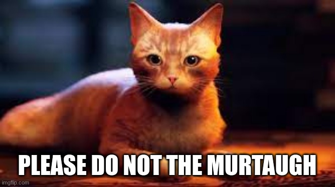 cat actually has a name ong | PLEASE DO NOT THE MURTAUGH | made w/ Imgflip meme maker