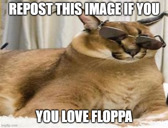 Floppa | REPOST THIS IMAGE IF YOU; YOU LOVE FLOPPA | image tagged in floppa drip,repost | made w/ Imgflip meme maker