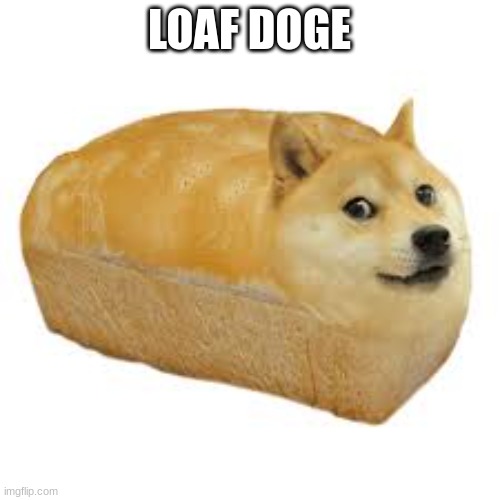 LOAF DOGE | made w/ Imgflip meme maker