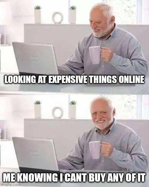 Hide the Pain Harold Meme | LOOKING AT EXPENSIVE THINGS ONLINE; ME KNOWING I CANT BUY ANY OF IT | image tagged in memes,hide the pain harold | made w/ Imgflip meme maker