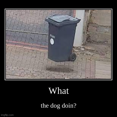 What the dog doin? | image tagged in funny,demotivationals | made w/ Imgflip demotivational maker