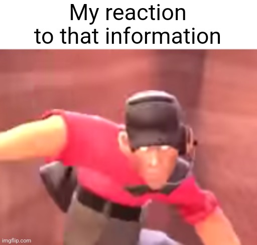 Scout | My reaction to that information | image tagged in scout | made w/ Imgflip meme maker