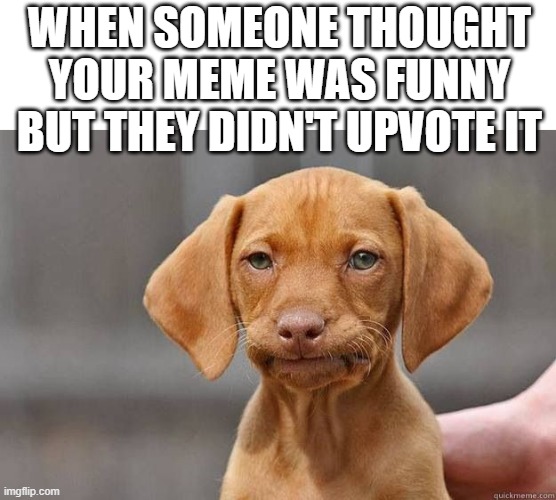 boi | WHEN SOMEONE THOUGHT YOUR MEME WAS FUNNY BUT THEY DIDN'T UPVOTE IT | image tagged in disapointed dog | made w/ Imgflip meme maker