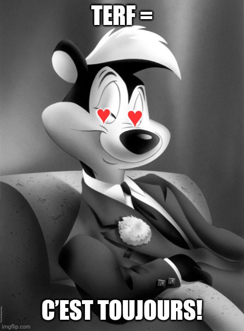 pepe le pew | TERF = C’EST TOUJOURS! ♥️ ♥️ | image tagged in pepe le pew | made w/ Imgflip meme maker