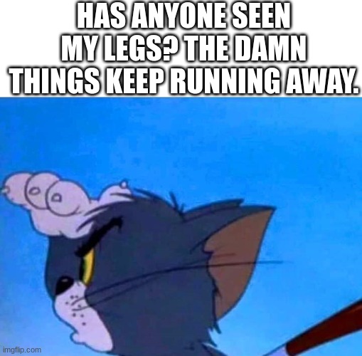 (insert laughter here) | HAS ANYONE SEEN MY LEGS? THE DAMN THINGS KEEP RUNNING AWAY. | image tagged in tom looking for something,memes | made w/ Imgflip meme maker