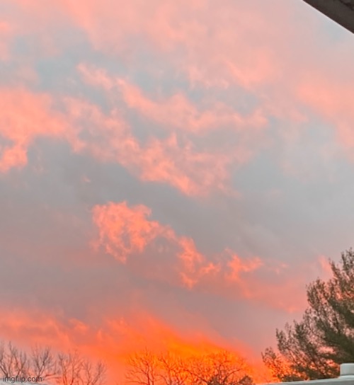 I actually took this pic yesterday. Its amazing :) | made w/ Imgflip meme maker