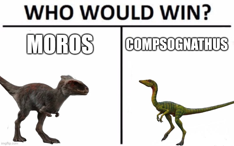 Lil bois battle | MOROS; COMPSOGNATHUS | image tagged in who would win,jurassic park,jurassic world,dinosaur,compsognathus,moros | made w/ Imgflip meme maker