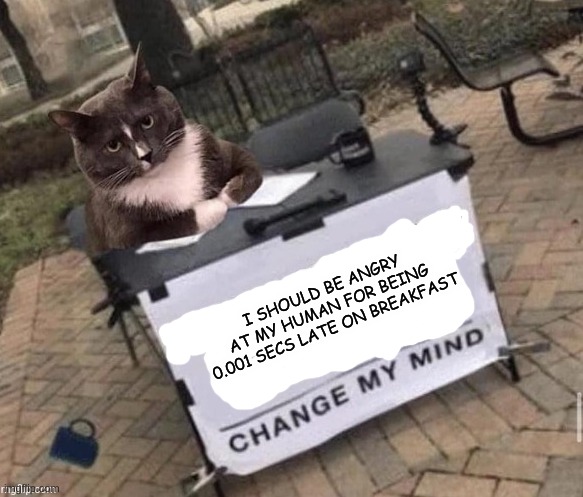 change my small brain | I SHOULD BE ANGRY AT MY HUMAN FOR BEING 0.001 SECS LATE ON BREAKFAST | image tagged in change my small brain | made w/ Imgflip meme maker