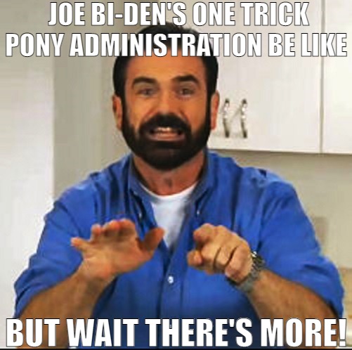 ALL THOSE POTENTIAL VOTERS | JOE BI-DEN'S ONE TRICK PONY ADMINISTRATION BE LIKE; BUT WAIT THERE'S MORE! | image tagged in billy mays,meme | made w/ Imgflip meme maker