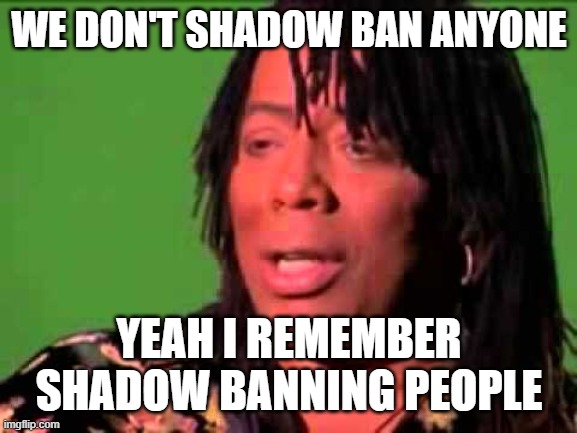 Rick James | WE DON'T SHADOW BAN ANYONE; YEAH I REMEMBER SHADOW BANNING PEOPLE | image tagged in rick james | made w/ Imgflip meme maker