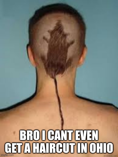 ohio | BRO I CANT EVEN GET A HAIRCUT IN OHIO | image tagged in hair | made w/ Imgflip meme maker