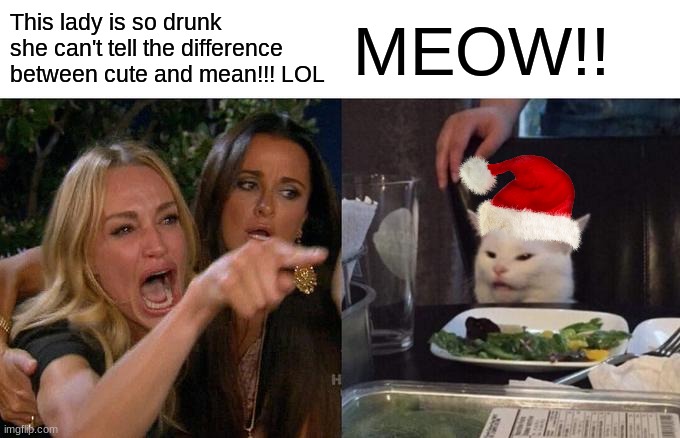 Woman Yelling At Cat | This lady is so drunk she can't tell the difference between cute and mean!!! LOL; MEOW!! | image tagged in memes,woman yelling at cat | made w/ Imgflip meme maker