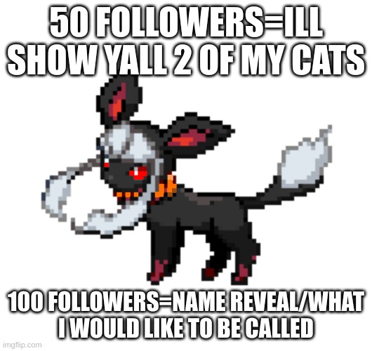 redceon | 50 FOLLOWERS=ILL SHOW YALL 2 OF MY CATS; 100 FOLLOWERS=NAME REVEAL/WHAT I WOULD LIKE TO BE CALLED | image tagged in redceon | made w/ Imgflip meme maker