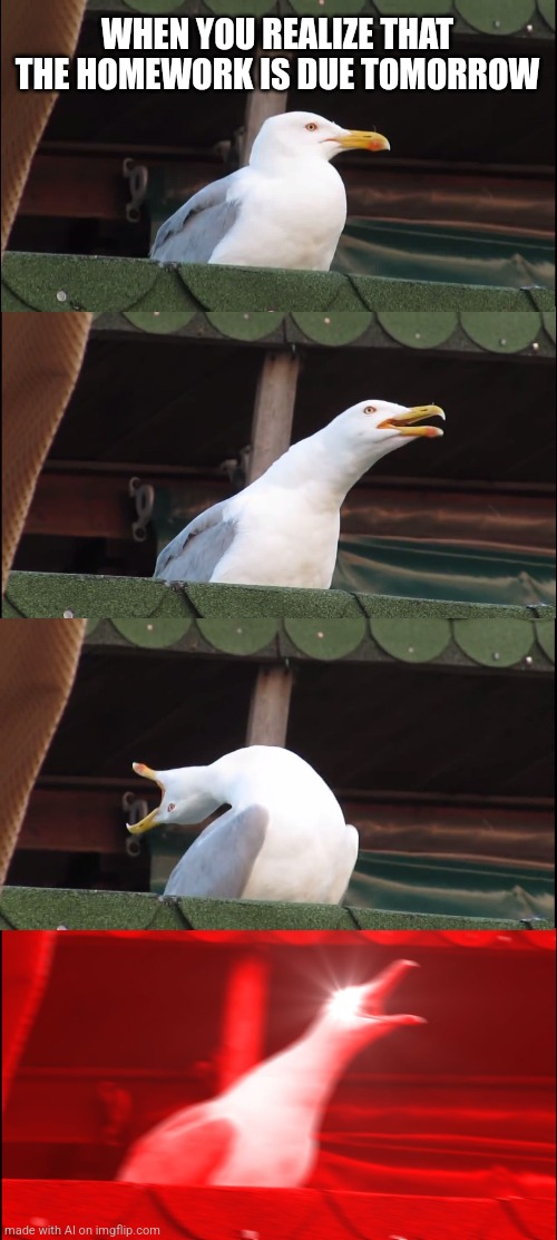 Still not gonna do it | WHEN YOU REALIZE THAT THE HOMEWORK IS DUE TOMORROW | image tagged in memes,inhaling seagull | made w/ Imgflip meme maker