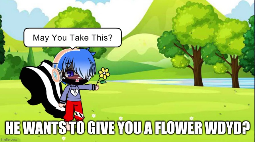 Romance i guess | HE WANTS TO GIVE YOU A FLOWER WDYD? | made w/ Imgflip meme maker