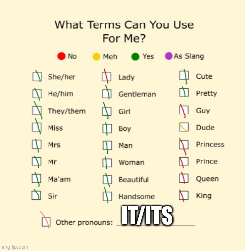What Terms i use | IT/ITS | image tagged in pronouns | made w/ Imgflip meme maker