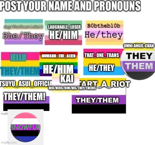 pronouns: she/they/xe/he/pup | SNOWFUR | image tagged in lgbtq | made w/ Imgflip meme maker