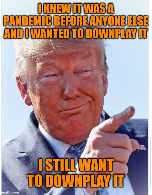 Trump pointing | I KNEW IT WAS A PANDEMIC BEFORE ANYONE ELSE AND I WANTED TO DOWNPLAY IT I STILL WANT TO DOWNPLAY IT | image tagged in trump pointing | made w/ Imgflip meme maker