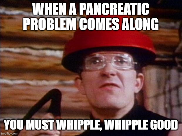 Devo | WHEN A PANCREATIC PROBLEM COMES ALONG; YOU MUST WHIPPLE, WHIPPLE GOOD | image tagged in devo | made w/ Imgflip meme maker