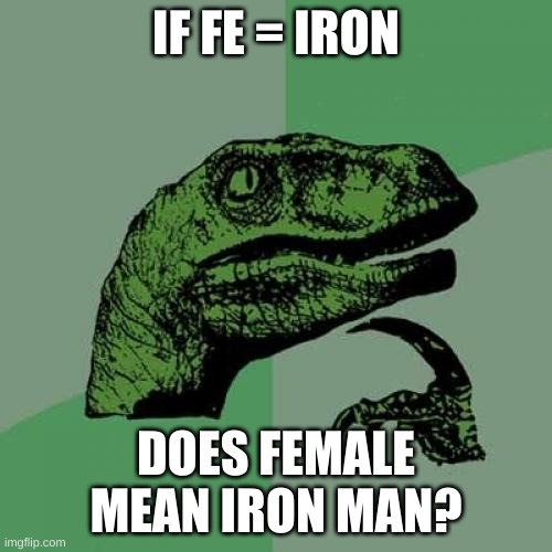 Philosoraptor | IF FE = IRON; DOES FEMALE MEAN IRON MAN? | image tagged in memes,philosoraptor | made w/ Imgflip meme maker