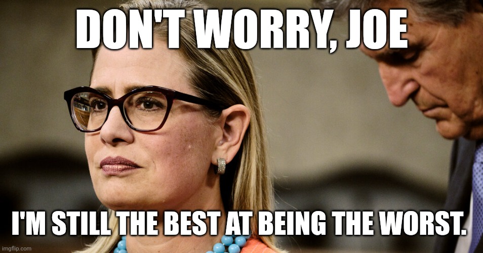 Manchin Sinema | DON'T WORRY, JOE; I'M STILL THE BEST AT BEING THE WORST. | image tagged in manchin sinema | made w/ Imgflip meme maker