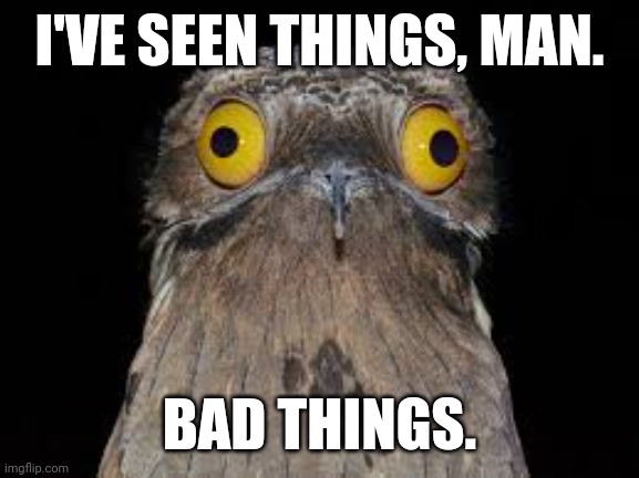 Birb | I'VE SEEN THINGS, MAN. BAD THINGS. | image tagged in bird | made w/ Imgflip meme maker