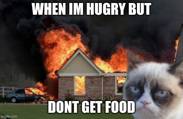 No food | WHEN IM HUGRY BUT; DONT GET FOOD | image tagged in memes,burn kitty,grumpy cat | made w/ Imgflip meme maker