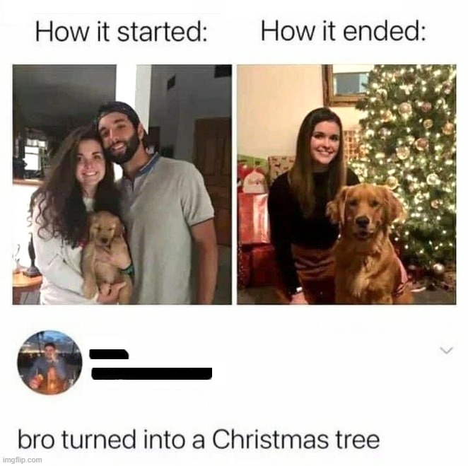 image tagged in merry christmas,couples,partners,christmas tree | made w/ Imgflip meme maker