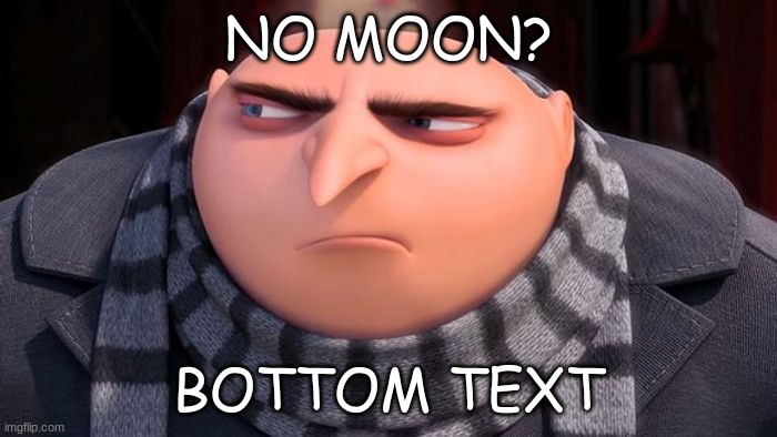 No moon? | NO MOON? BOTTOM TEXT | image tagged in gru,megamind meme | made w/ Imgflip meme maker
