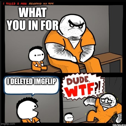 you what | WHAT YOU IN FOR; I DELETED IMGFLIP | image tagged in srgrafo dude wtf | made w/ Imgflip meme maker