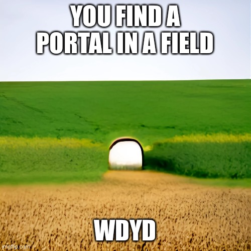 No ignoring it. Basic rules apply other than OP and Joke | YOU FIND A PORTAL IN A FIELD; WDYD | image tagged in roleplaying,portal | made w/ Imgflip meme maker